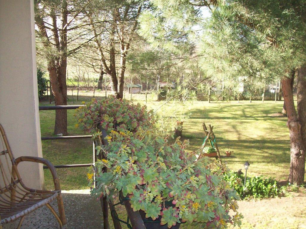 Campo Alle Monache Bucine Δωμάτιο φωτογραφία