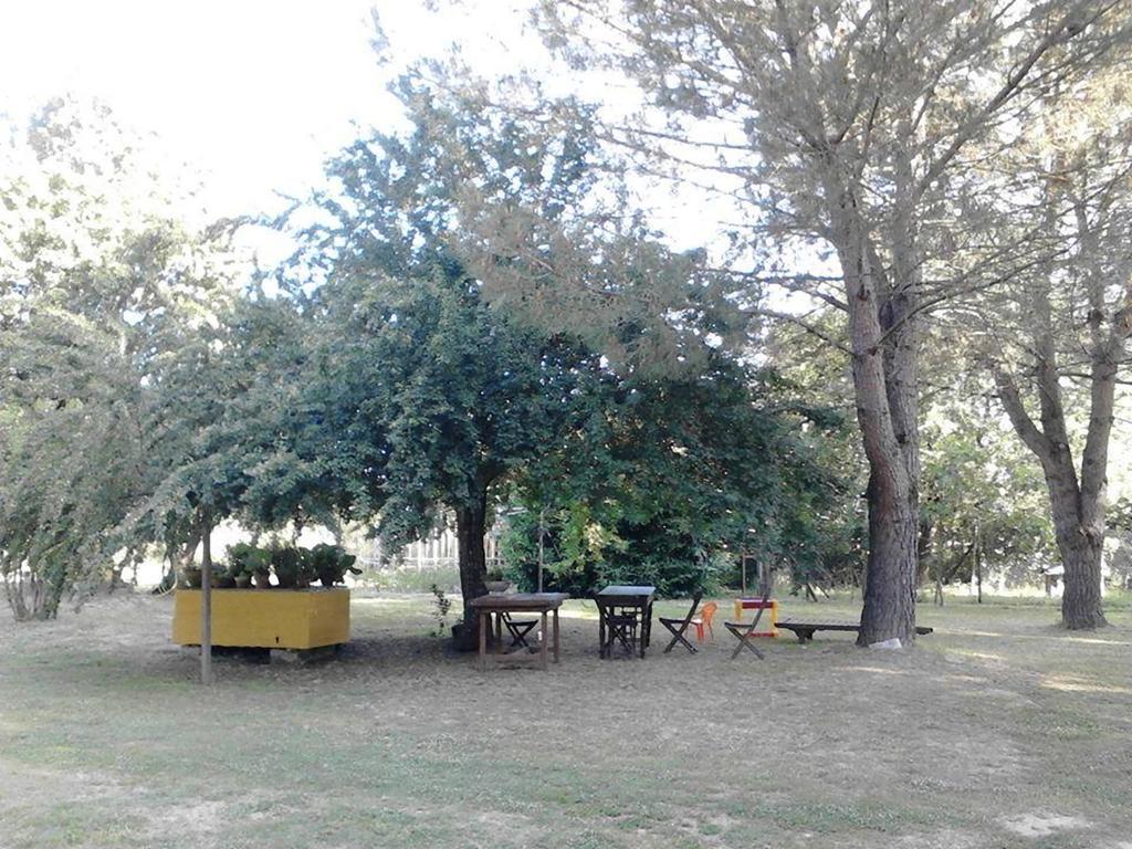 Campo Alle Monache Bucine Εξωτερικό φωτογραφία