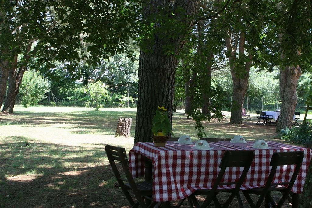 Campo Alle Monache Bucine Εξωτερικό φωτογραφία
