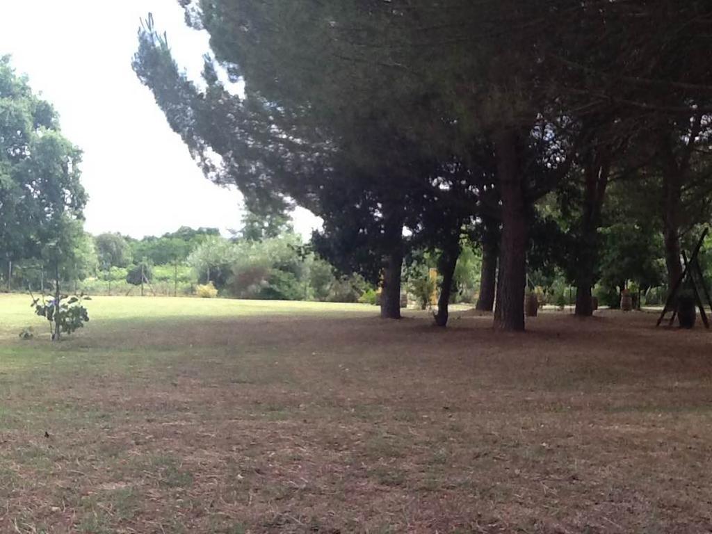 Campo Alle Monache Bucine Εξωτερικό φωτογραφία