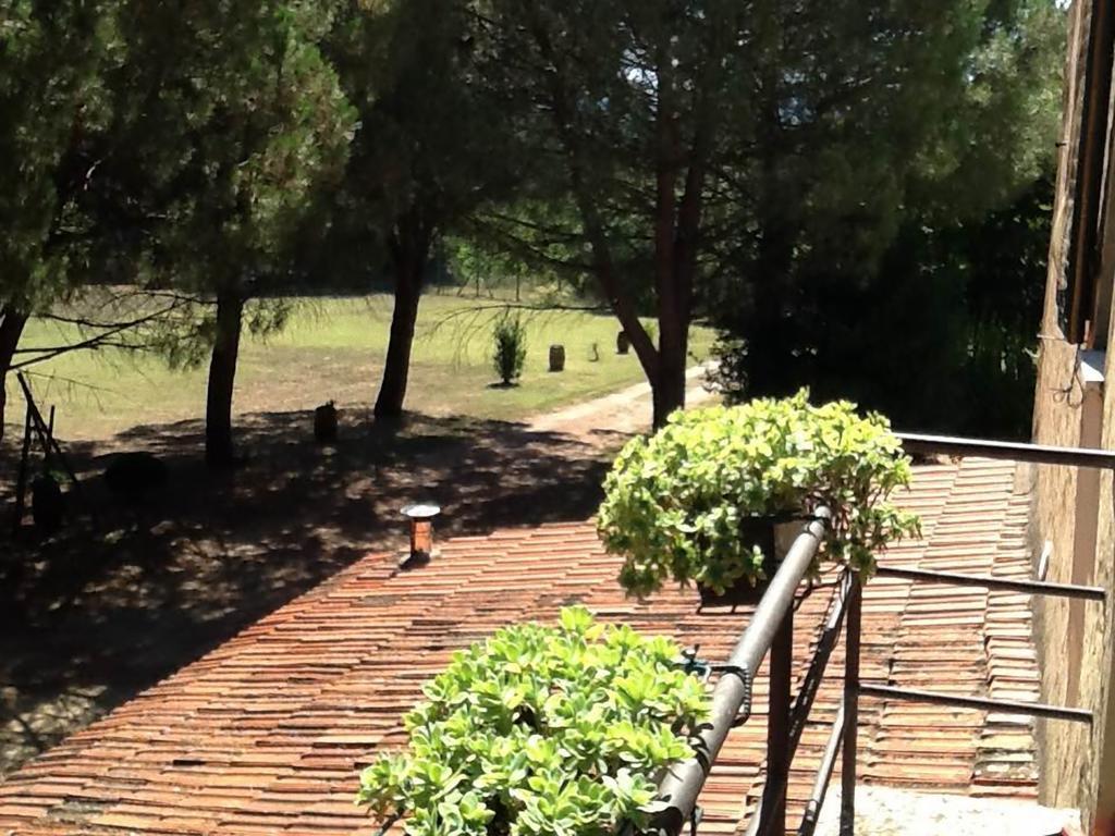 Campo Alle Monache Bucine Δωμάτιο φωτογραφία