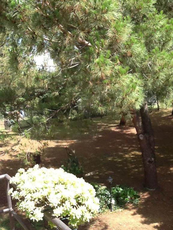 Campo Alle Monache Bucine Εξωτερικό φωτογραφία