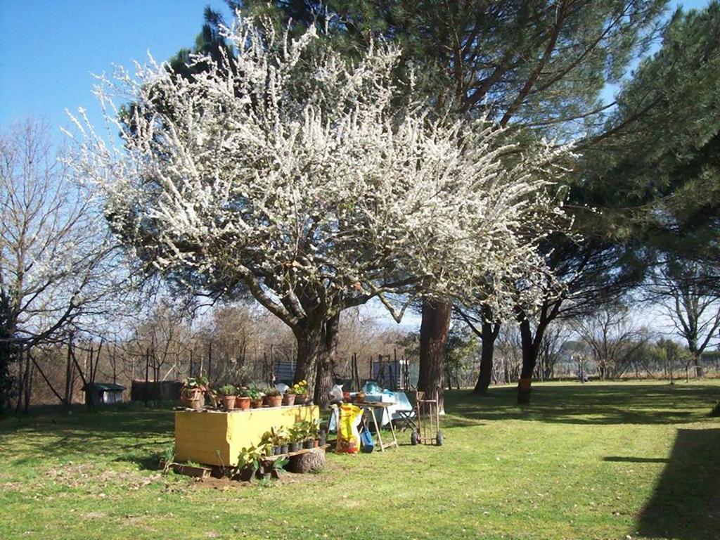 Campo Alle Monache Bucine Εξωτερικό φωτογραφία