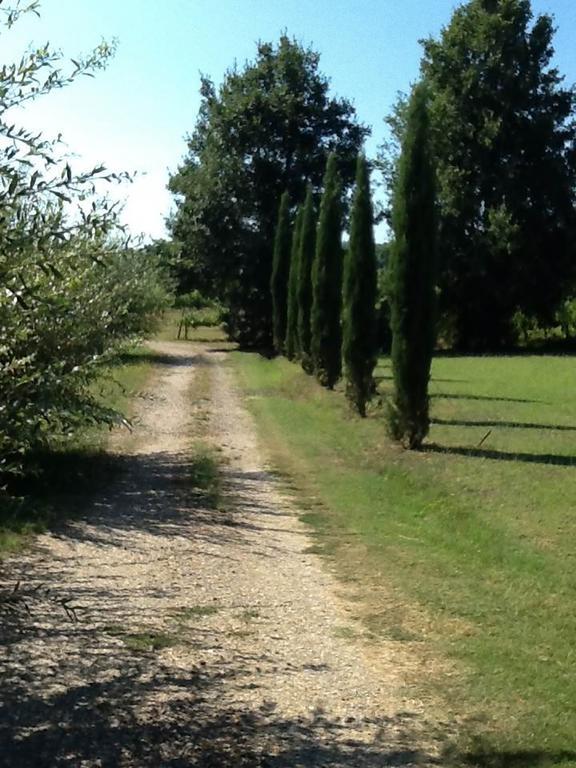 Campo Alle Monache Bucine Εξωτερικό φωτογραφία