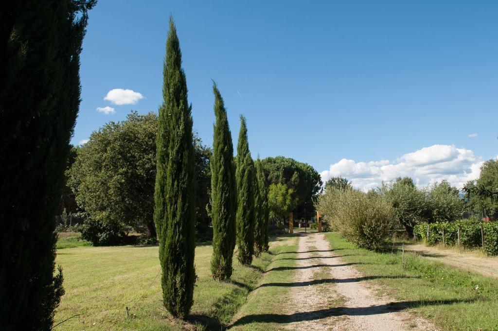 Campo Alle Monache Bucine Εξωτερικό φωτογραφία