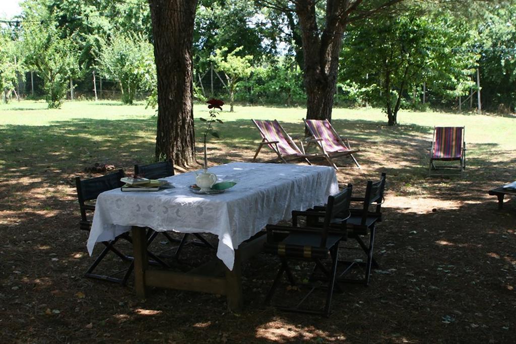 Campo Alle Monache Bucine Εξωτερικό φωτογραφία