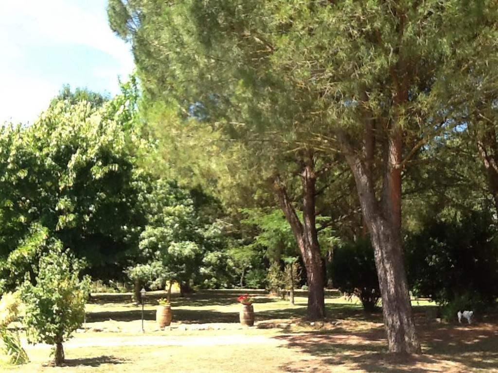 Campo Alle Monache Bucine Εξωτερικό φωτογραφία