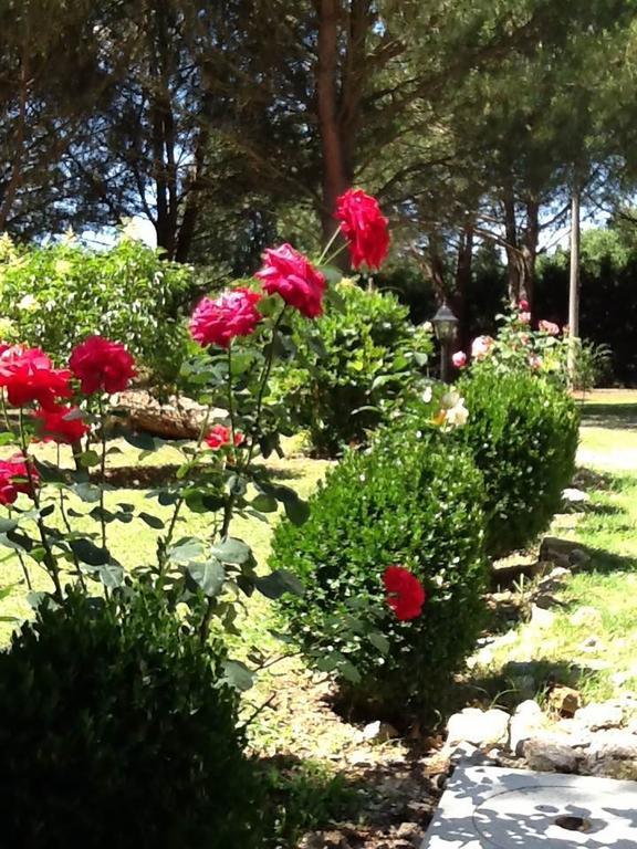 Campo Alle Monache Bucine Εξωτερικό φωτογραφία