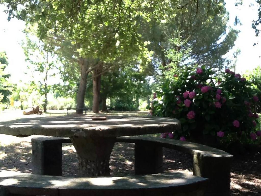 Campo Alle Monache Bucine Εξωτερικό φωτογραφία