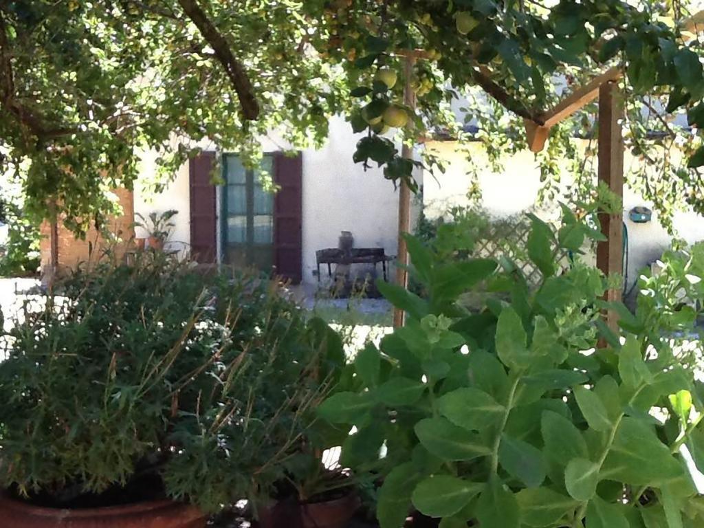 Campo Alle Monache Bucine Εξωτερικό φωτογραφία